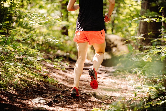 Stress reduction and mental well-being through orienteering: The physiological effects of outdoor navigation