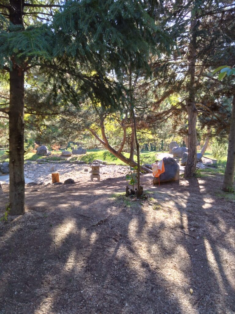 The Cognitive Benefits of Orienteering: Enhancing Spatial Awareness and Memory